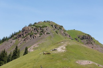 33682