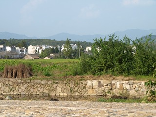 174906