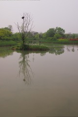 140487