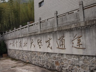 166521