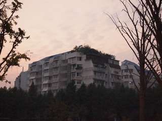 163925