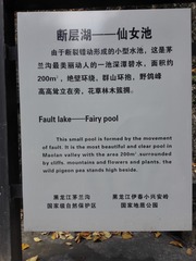 51805