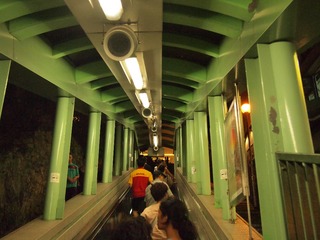 39881