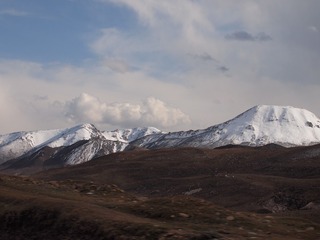 163559
