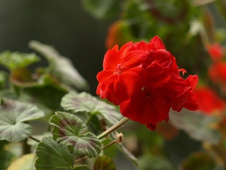 189051