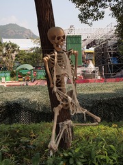 40144