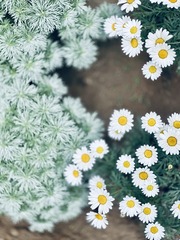A93925B4-A715-4BB2-A708-0294DD09B382/L0/001
