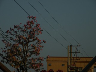 80030654-992A-4453-87FA-FE84598116D4/L0/001