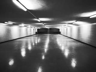 203683