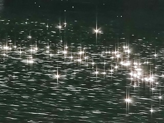 1000062640
