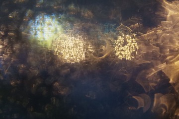 1697356