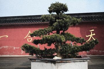 04B5656A-2CE6-4887-B410-9B95AA99DB49/L0/001