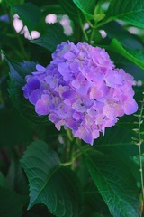 6F1A9BB5-FC96-4885-A4EB-C6EAE33A24F8/L0/001