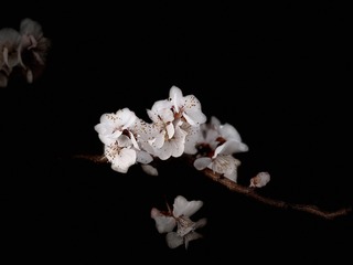 52D7FE9D-6F22-4291-A1CF-DCD2ABE66122/L0/001