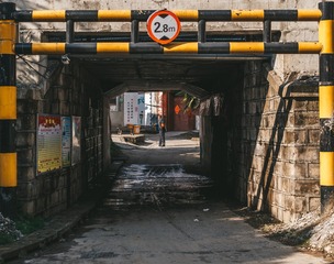 236773