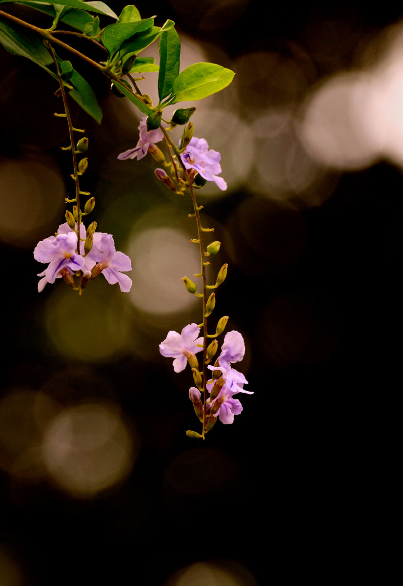 826_1200竖版 竖屏