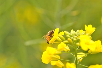DSC_0771_839