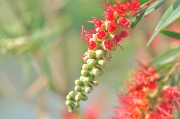 DSC_2205_845