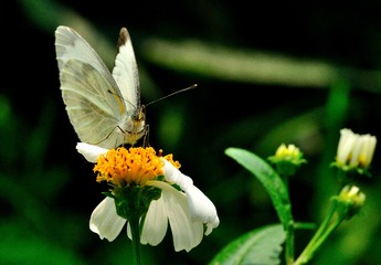 DSC_2583_859