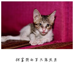 08C3B06C-5BCA-4245-B1D8-9E1FBE83A0C6-27379-0000233D025C1166