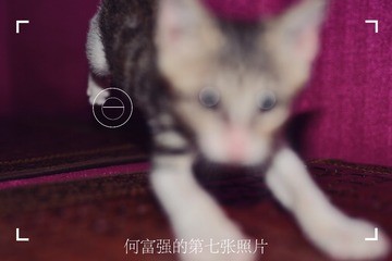 3B4673A3-8006-45DD-A96C-E6DD88296054-27379-0000233D88A24131