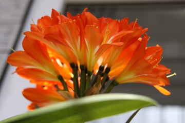 80CF4D02-04A3-412F-B4DD-092D6BB689B7/L0/001