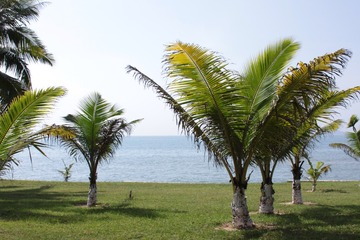 2F6DDC75-E1D8-45BF-AA04-7741271375E6/L0/001
