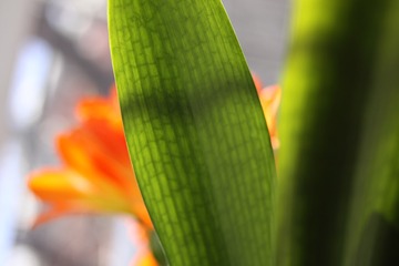 B13B5A77-C103-4FD3-87E0-1CA1BEE3B2B1/L0/001