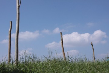 5CFBF73C-D969-4CB8-9485-3B3C103F16E8/L0/001