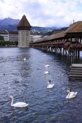 2AC4C9A3-0B16-4C0C-93A9-8A329B692B30/L0/001