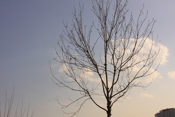 1F0D276D-204F-47EB-98ED-B90E19A74B31/L0/001