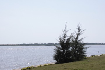 3BDA79DD-14C9-4F1B-BD19-A5DCCE9BE02D/L0/001