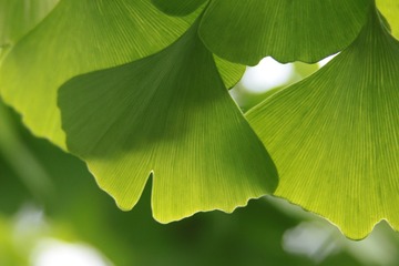 B0973DB4-3C0C-4955-87E4-6E8162A94C6B/L0/001