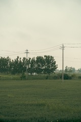 303338