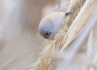 5007