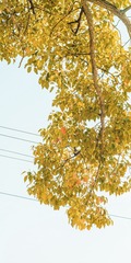 85D32504-ED62-43A6-88F6-7E3F7D80D58D/L0/001