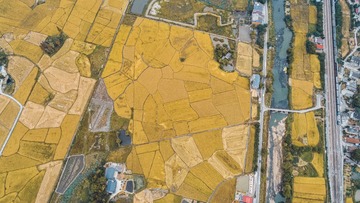 AA91E64C-AEDC-409E-9C04-675F720295E8/L0/001
