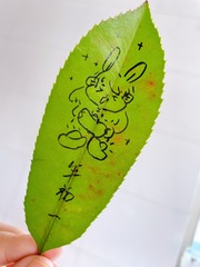 8D070EEF-29B4-4C68-915C-62AE442DA4B3/L0/001