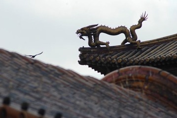 对自由的渴望