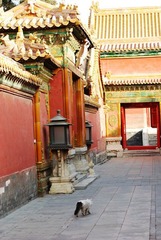 后宫冤魂