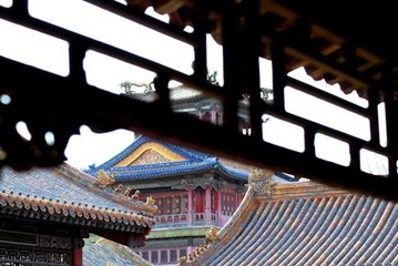 金龙也是罩在笼子里的龙
