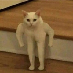 61842