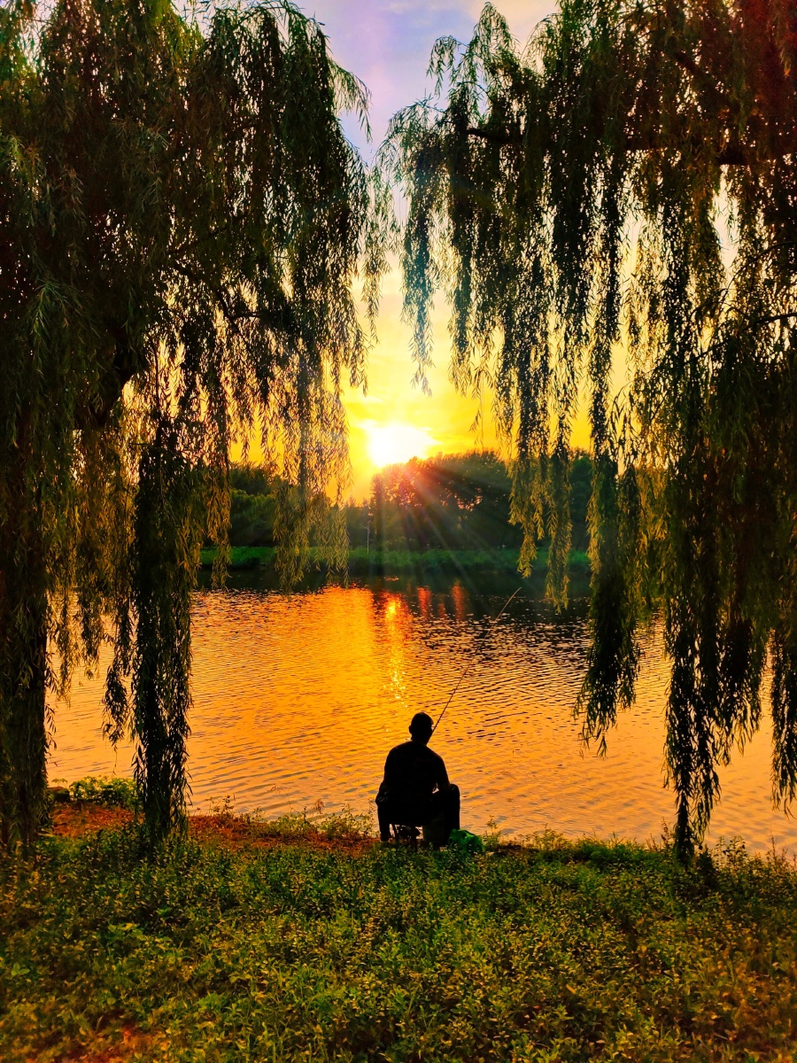 野外垂钓总是静静地坐着看着守着在夕阳中留下生动的剪影