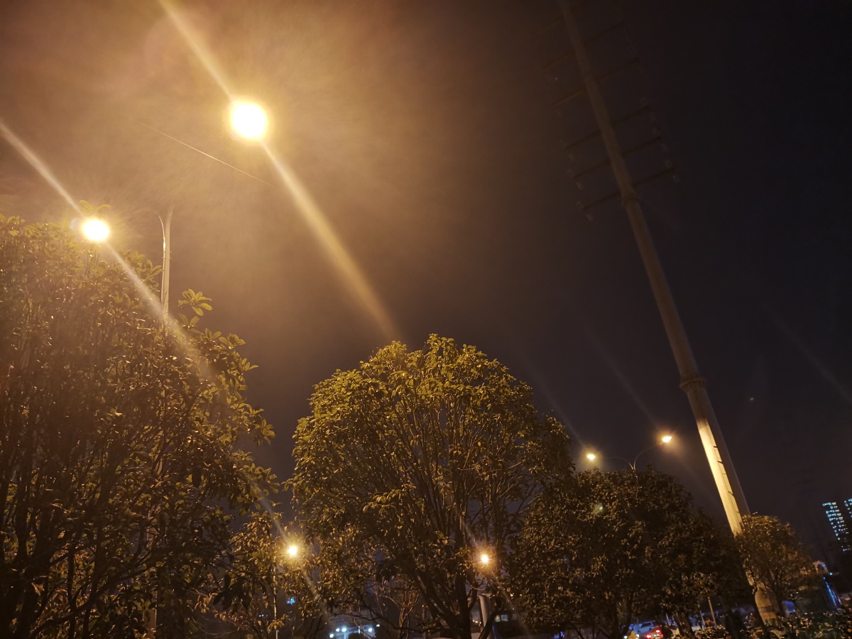 灯照亮我前行的路,人生路上不迷茫