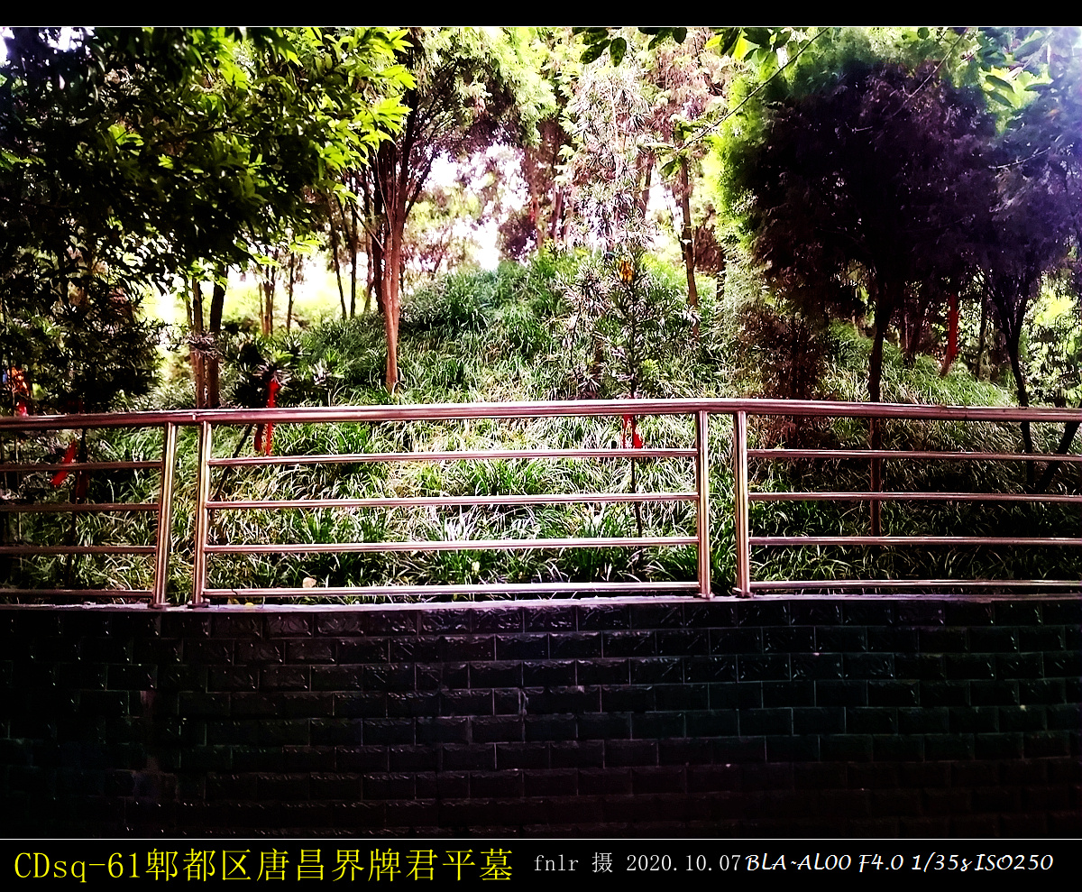 郫都唐昌君平故里一