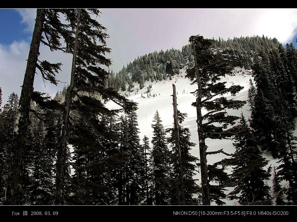MX-22遥望RAINIER雪山