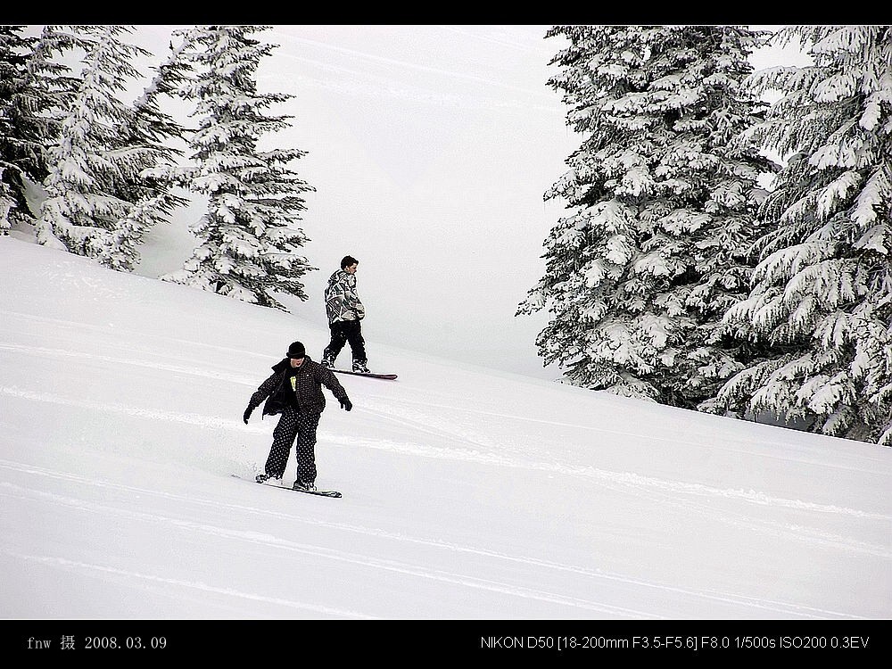 MX-38高山滑雪