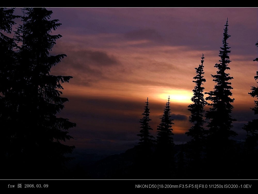 MX-49雪山林海观夕阳