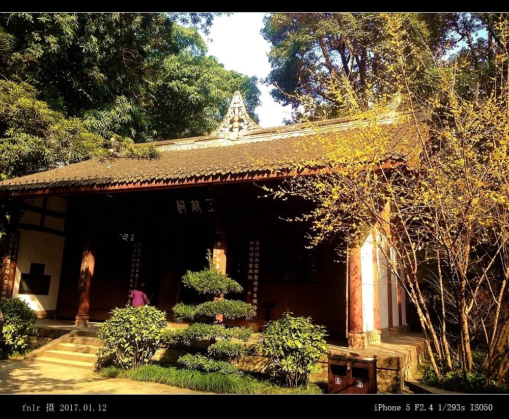 DFCT-08腊梅香飘工部祠:工部祠是草堂博物馆的第四重建筑,供奉杜甫、陆游、黄庭坚三位诗人。