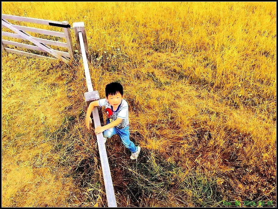 AZ-59爬草场护栏